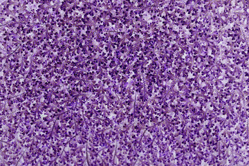 Abstract purple fern leaves texture background, seamless leaves pattern background