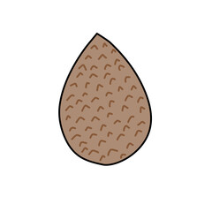 vector illustration snake fruit 