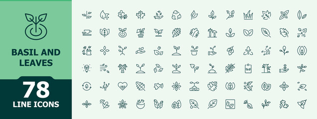 Leaves icon collection. Includes thin line symbols nature, basil, tree, ecology, plant, eco and more. Isolated icons. Leaf icon set. Minimalist icons pack.