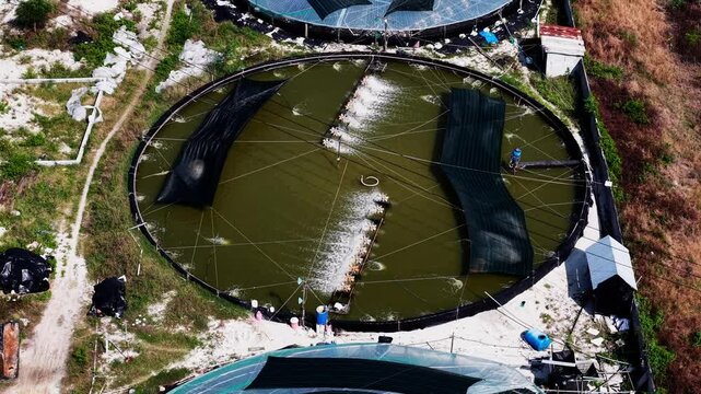 Aerial shot of a fish farm in Vietnam. The drone captures the vast water ponds, fish enclosures, and the surrounding rural landscape, showcasing the traditional aquaculture practices in the region.