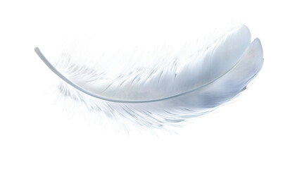 Graceful Plume: A delicate feather of pristine white floats gently, radiating an ethereal lightness and purity.