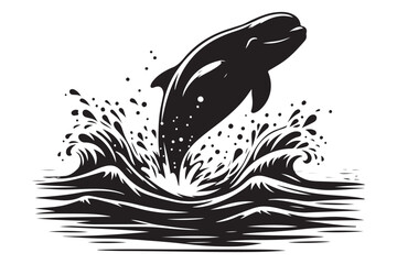 Playful Dolphin Leaping Silhouette Illustration for Marine Life Enthusiasts