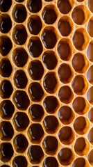 Close-Up View of Intricate Beehive Honeycomb Texture Showcasing Detailed Hexagonal Cells Filled with Golden Honey in Natural Setting