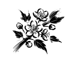 cherry blossom branch ink illustration