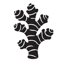 Ginger silhouette vector image for natural spice and food illustration
