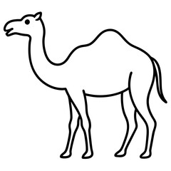 Fototapeta premium camel cartoon illustration