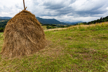 Haystacks on a meadow in the Carpathians