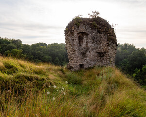 ruins of old castle