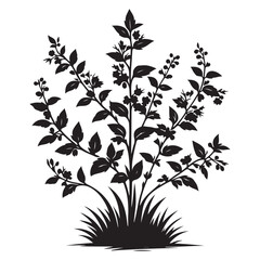 Bush Silhouette Illustration for Garden and Landscape Design Projects