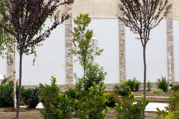 A beautiful and well-kept yard, neatly planted bushes and trees, against the backdrop of a high white fence.