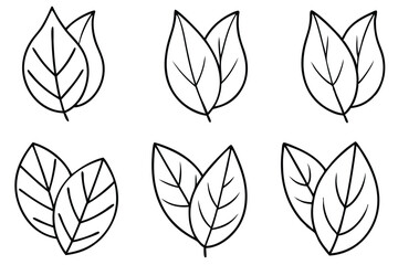 Fototapeta premium Lilac Leaf Line Art Detailed Drawing for Botanical Illustration 