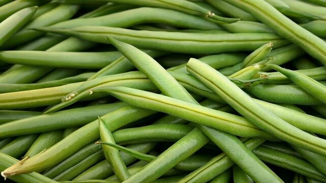 Fresh green beans harvested from the farm displayed at a local market in the early morning light