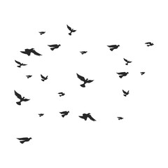 Flock Of Bird Illustration