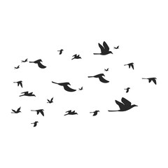 Fototapeta premium Flock Of Bird Illustration