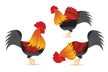 Collection of rooster vectors on white background
