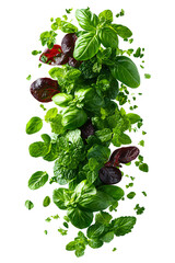 Suspended culinary herbs with transparent background, cut out fresh cooking ingredients for food...