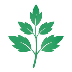 green leaves isolated on white background