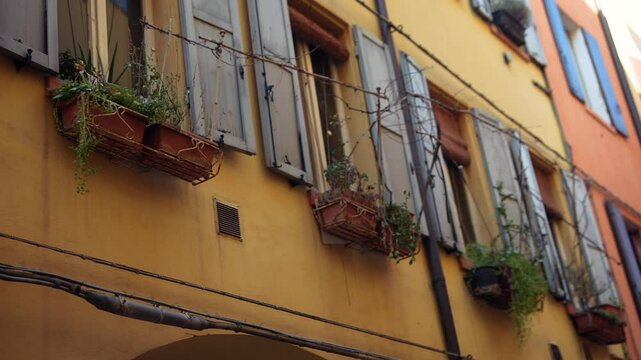Charming Windows Adorned with Beautiful Flower Boxes Displaying a Variety of Vibrant Colors