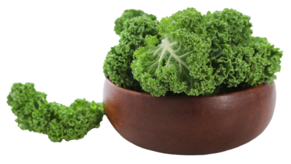 Kale or leaf cabbage