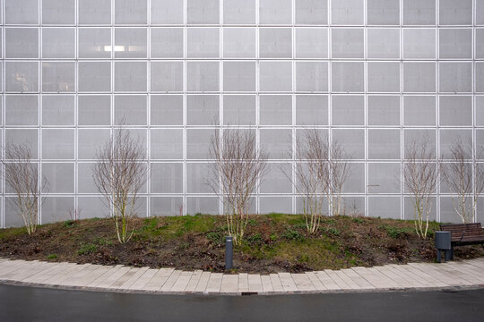 Symmetrical metallic facade with planted base and pale trees, evoking clarity, structure and architectural restraint.