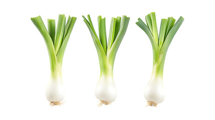 Pack of Leek set of Three Different Poses set Against Transparent Background for Vegetables, Culinary, or Healthy Eating Promotion Projects