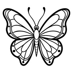 butterfly vector illustration