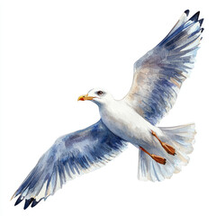 Obraz premium A Watercolor seagull flying with wings spread, isolated on white background, evoking freedom and grace
