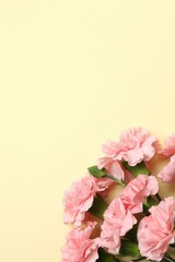 Fototapeta premium Happy Mother's Day. Beautiful bouquet of pink carnations on a colored background