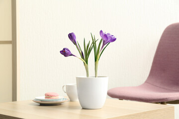 Pot with beautiful crocus flowers, cup and tasty macaroon on table near white wall