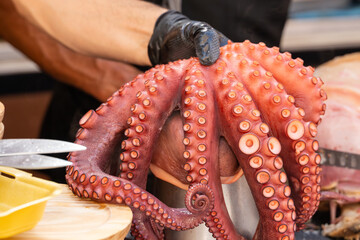 Close-up of a chef wearing gloves holding a freshly cooked octopus over a wooden plate, ready for slicing. Preparation of a traditional Galician tapa in a kitchen environment © Carlos