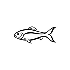 fish vector illustration design 
