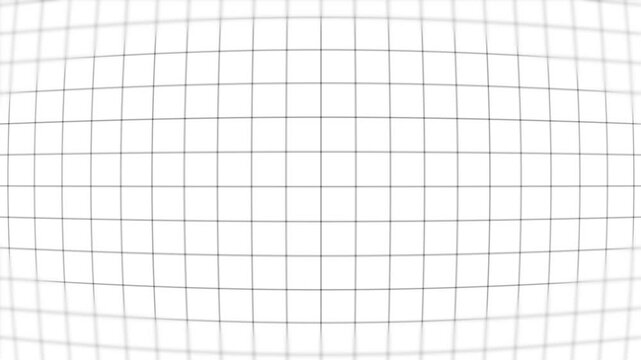 white grid background