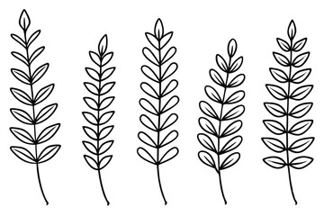 Maidenhair Fern Leaf Line Art Creative Botanical Illustration Design  