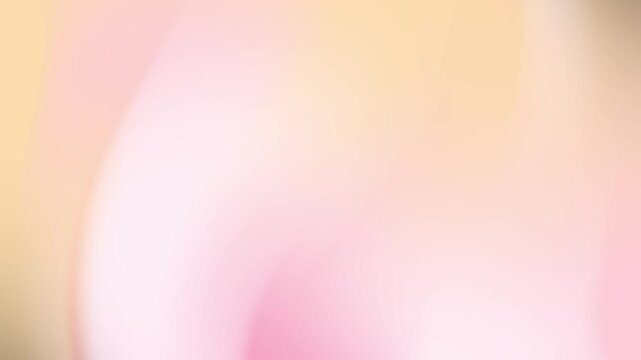 Pastel Dream: Abstract Blurred Background of Soft Pink and Peach Hues