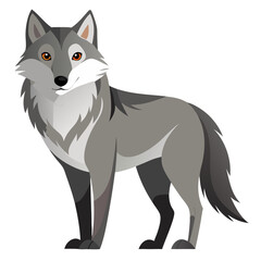 Illustration of gray wolf standing wildlife animal canine predator forest nature vector design isolated 