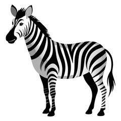 Zebra illustration black and white striped animal wildlife africa safari zoo mammal equine nature vector art