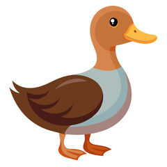 Cartoon duck illustration for kids, cute duck drawing, duck vector art, waterfowl illustration, bird art