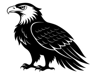 Fototapeta premium American Bald Eagle Silhouette Vector & Patriotic Bird SVG