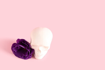 Human skull with beautiful eustoma flower on pink background