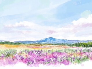 Fototapeta premium lavender field in provence france