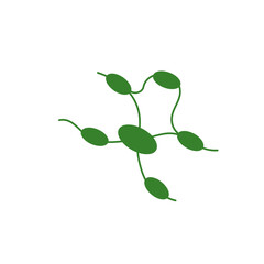 Lymph node cancer icon. Lymphocytic neoplasm sign. Vector illustration.