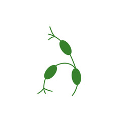 Obraz premium Lymph node cancer icon. Lymphocytic neoplasm sign. Vector illustration.