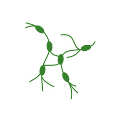 Lymph node cancer icon. Lymphocytic neoplasm sign. Vector illustration.