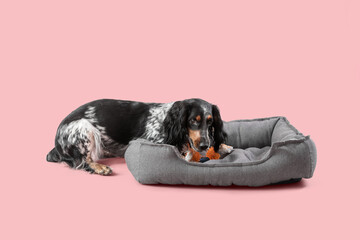 Cute cocker spaniel dog with toy lying on pet bed against pink background