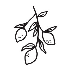 Lemon branch line art