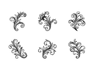 Ornamental vintage swirl silhouette isolated on white background