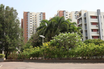 Trees grow in equal proportion to buildings in Hyderabad, India. Photo: April 08, 2025