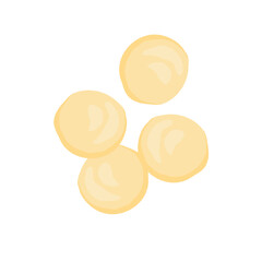 Delicious macadamia nuts. Vector illustration of healthy snacks.
