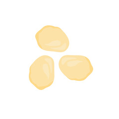 Delicious macadamia nuts. Vector illustration of healthy snacks.