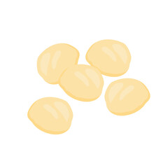 Delicious macadamia nuts. Vector illustration of healthy snacks.